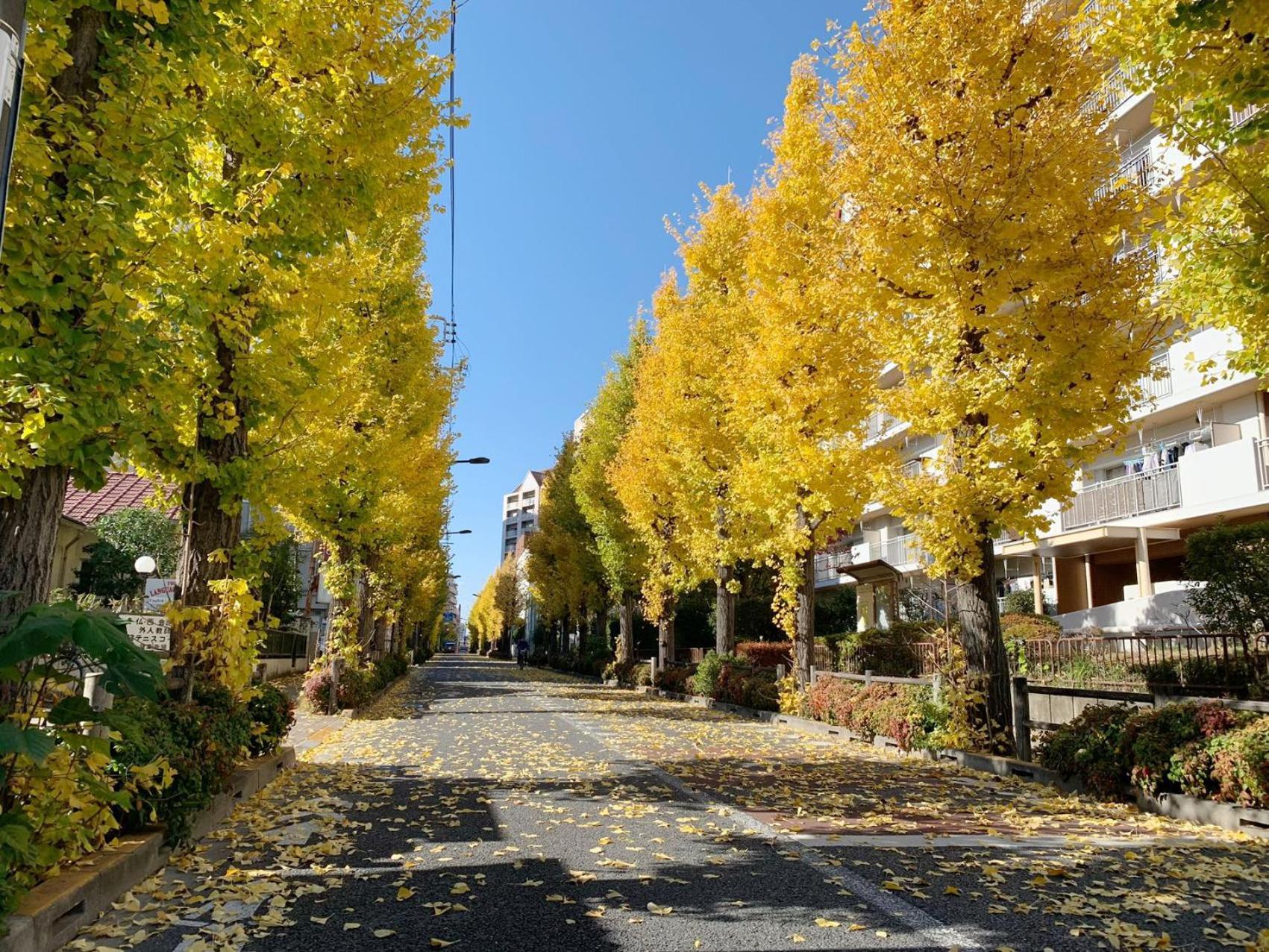 Rosenheim Tokyo Shinjuku Tokyo prefektur Exteriör bild